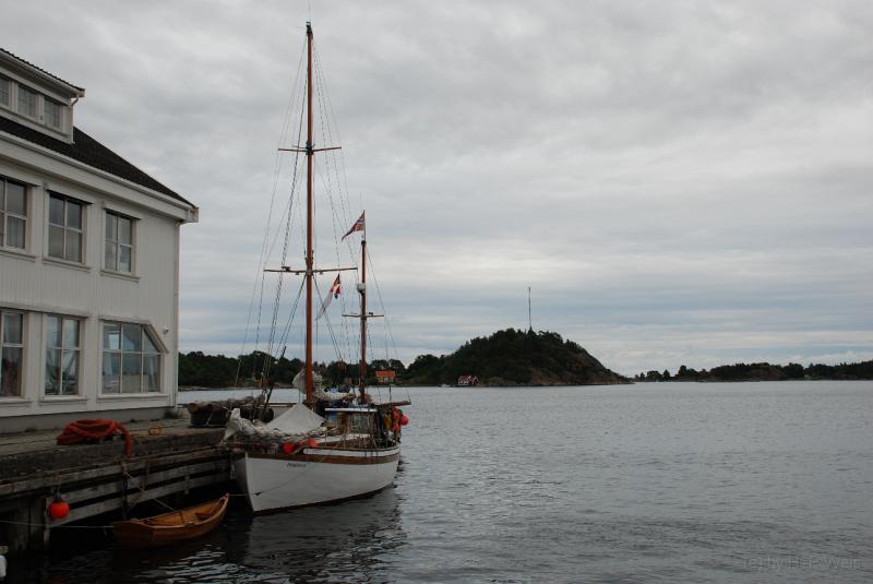 DSC_2884.JPG