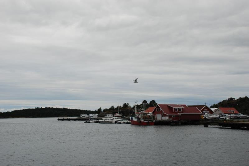 DSC_2885.JPG
