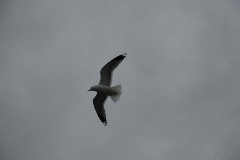 DSC_2886.JPG