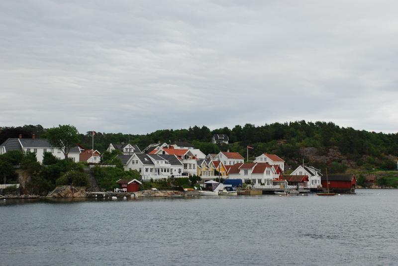 DSC_2893.JPG