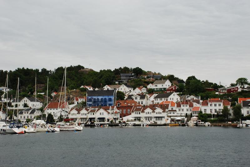 DSC_2895.JPG