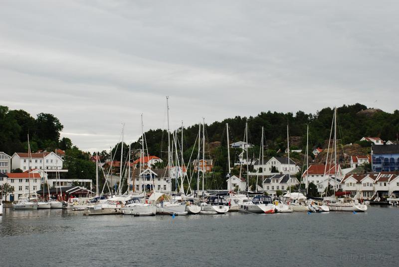 DSC_2896.JPG