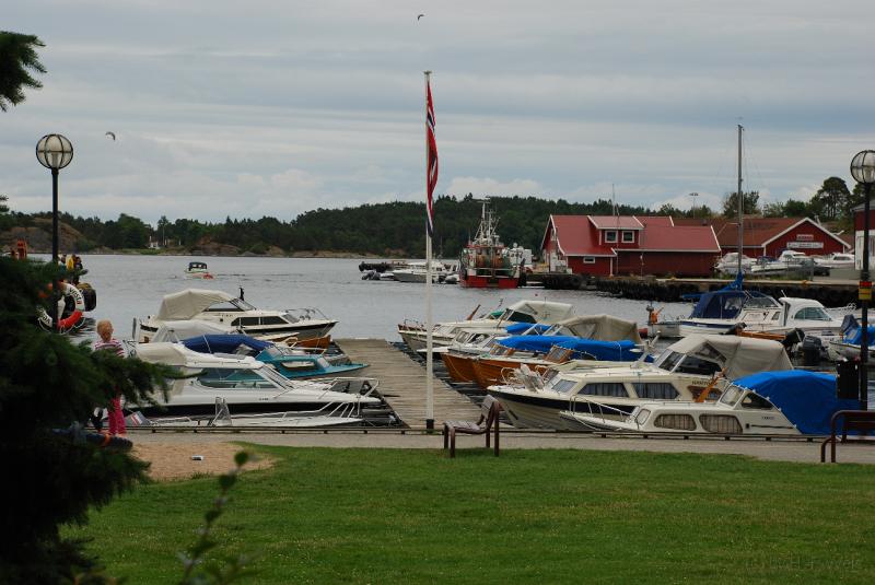 DSC_2903.JPG
