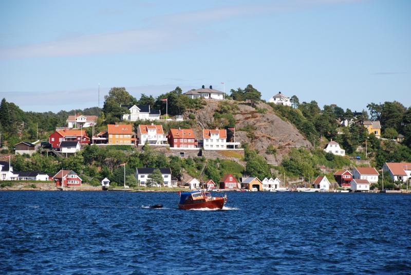 DSC_2930.JPG