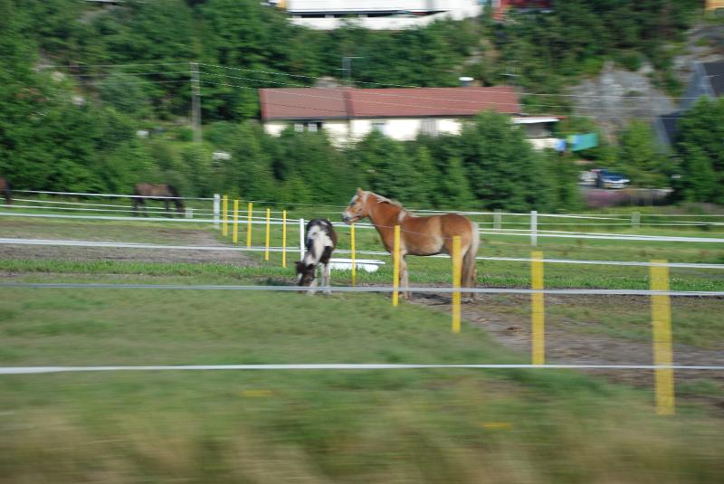 DSC_2947.JPG