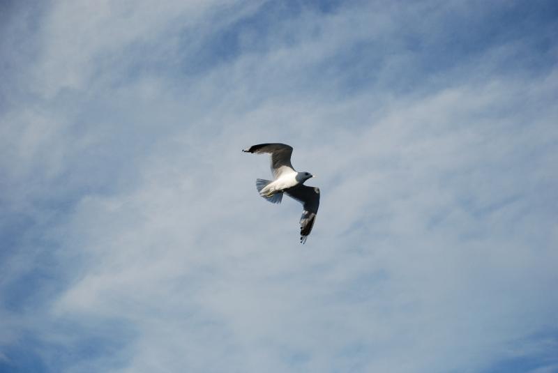 DSC_2966.JPG