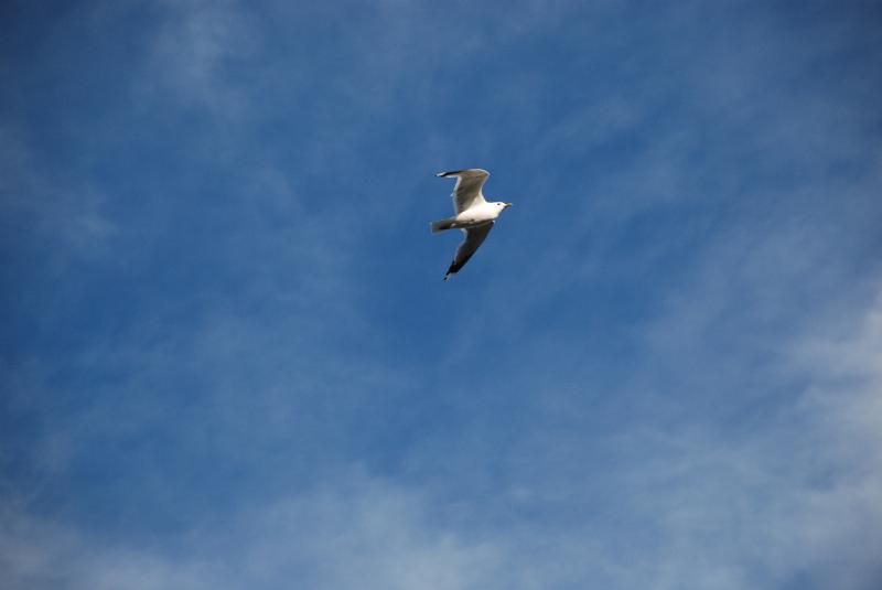 DSC_2967.JPG